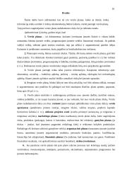 Kas yra verslo planas ir kaip jį reiktų parengti? 16 puslapis