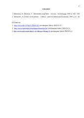 Kas yra verslo planas ir kaip jį reiktų parengti? 17 puslapis