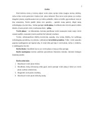 Kas yra verslo planas ir kaip jį reiktų parengti? 3 puslapis