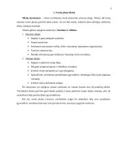 Kas yra verslo planas ir kaip jį reiktų parengti? 4 puslapis