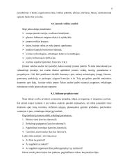 Kas yra verslo planas ir kaip jį reiktų parengti? 9 puslapis