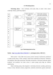 Kas yra verslo planas ir kaip jį reiktų parengti? 10 puslapis