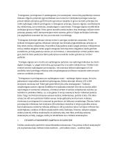 Atsakomybė už civilinių teisių ir pareigų pažeidimą