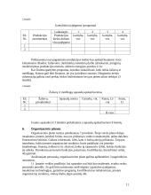 Verslo planas ir jo rengimas 10 puslapis