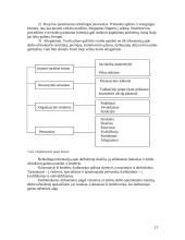 Verslo planas ir jo rengimas 11 puslapis