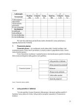 Verslo planas ir jo rengimas 12 puslapis