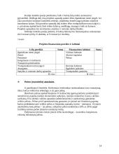 Verslo planas ir jo rengimas 13 puslapis