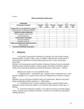 Verslo planas ir jo rengimas 14 puslapis