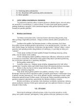 Verslo planas ir jo rengimas 17 puslapis