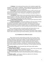 Verslo planas ir jo rengimas 2 puslapis