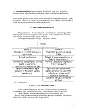 Verslo planas ir jo rengimas 3 puslapis