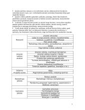 Verslo planas ir jo rengimas 4 puslapis