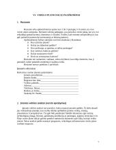 Verslo planas ir jo rengimas 6 puslapis