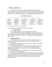 Verslo planas ir jo rengimas 7 puslapis