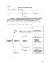 Verslo planas ir jo rengimas 8 puslapis