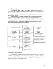 Verslo planas ir jo rengimas 9 puslapis