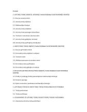 Autorių teisės elektroninėje erdvėje