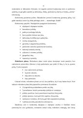 Verslo plano rengimas - esminiai aspektai 11 puslapis