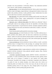 Verslo plano rengimas - esminiai aspektai 12 puslapis