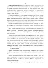 Verslo plano rengimas - esminiai aspektai 13 puslapis