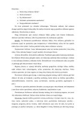 Verslo plano rengimas - esminiai aspektai 14 puslapis