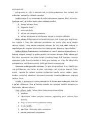 Verslo plano rengimas - esminiai aspektai 15 puslapis