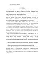 Verslo plano rengimas - esminiai aspektai 16 puslapis