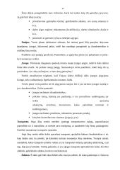 Verslo plano rengimas - esminiai aspektai 17 puslapis