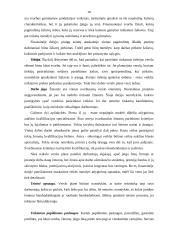 Verslo plano rengimas - esminiai aspektai 18 puslapis