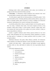 Verslo plano rengimas - esminiai aspektai 3 puslapis