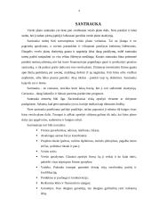 Verslo plano rengimas - esminiai aspektai 4 puslapis