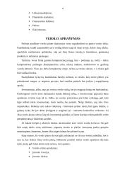 Verslo plano rengimas - esminiai aspektai 5 puslapis