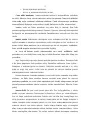 Verslo plano rengimas - esminiai aspektai 6 puslapis