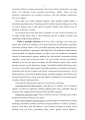 Verslo plano rengimas - esminiai aspektai 7 puslapis