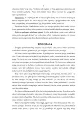 Verslo plano rengimas - esminiai aspektai 8 puslapis