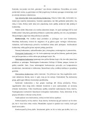 Verslo plano rengimas - esminiai aspektai 10 puslapis