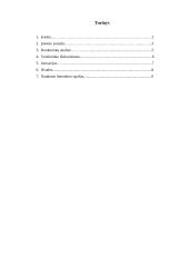 Verslo sėkmę lemiantys veiksniai