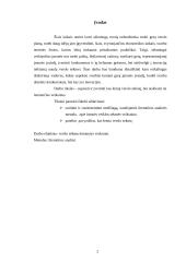 Verslo sėkmę lemiantys veiksniai 2 puslapis