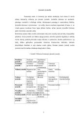 Verslo sėkmę lemiantys veiksniai 3 puslapis