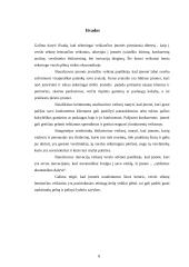 Verslo sėkmę lemiantys veiksniai 8 puslapis