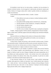 Vertybės mūsų gyvenime 2 puslapis