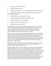 Bausmių vykdymo sistemos reforma