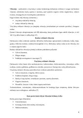 Vibracijos poveikis dirbantiems su žemės ūkio technika 3 puslapis