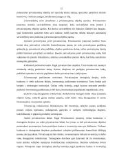 Viešojo ir privataus administravimo skirtumai 12 puslapis