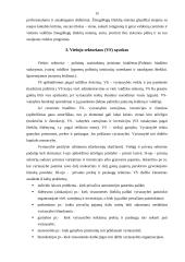 Viešojo ir privataus administravimo skirtumai 15 puslapis