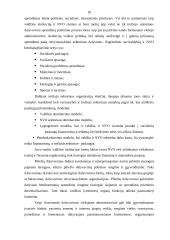 Viešojo ir privataus administravimo skirtumai 18 puslapis