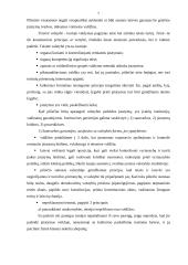 Viešojo ir privataus administravimo skirtumai 7 puslapis