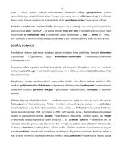 Viešosios kalbos ypatumai 13 puslapis