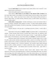 Viešosios kalbos ypatumai 3 puslapis