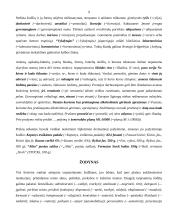 Viešosios kalbos ypatumai 9 puslapis